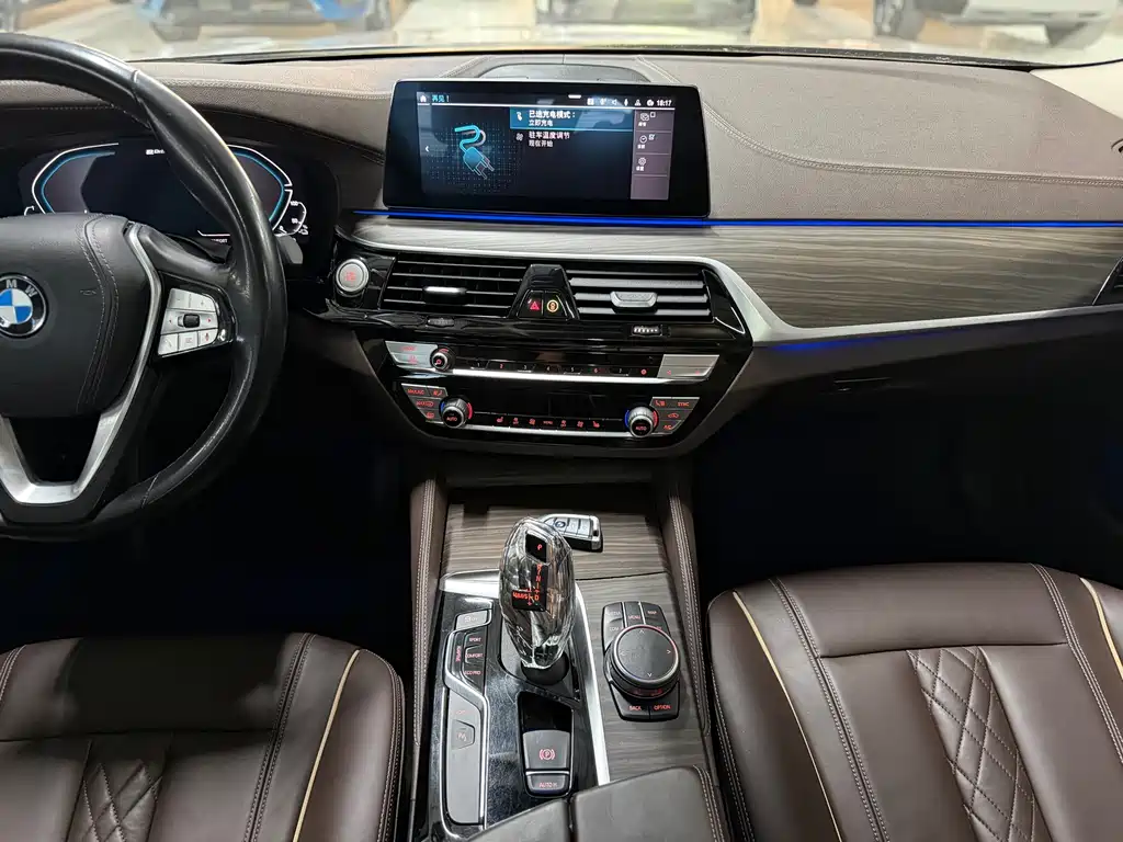 BMW 5 Series New Energy 530Le Luxury Package, фото 14