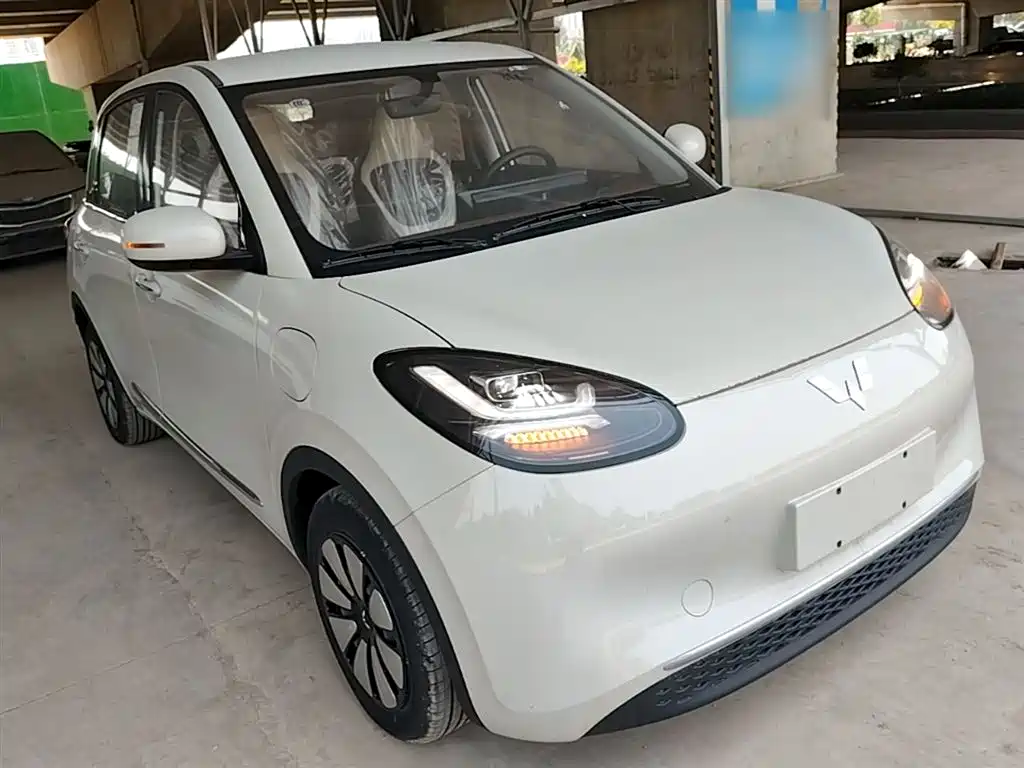 Wuling Binguo 2024 333km Enjoy