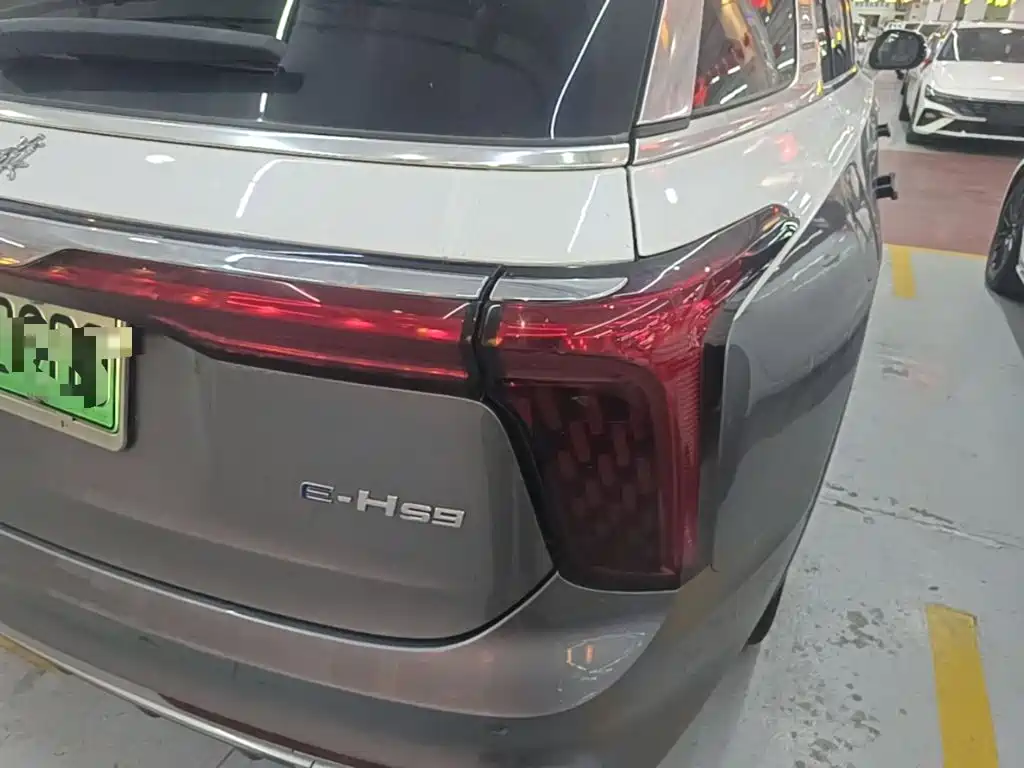 Hongqi Hongqi E-HS9 — миниатюра 8