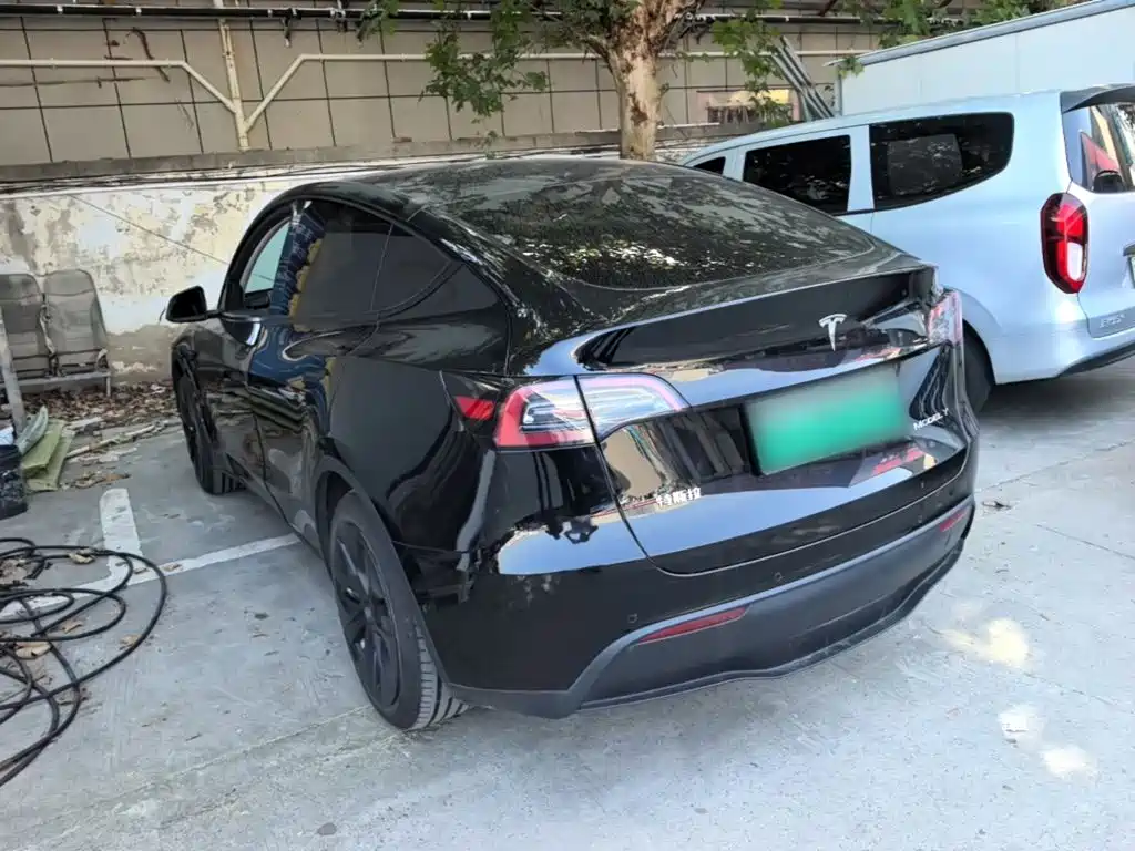 Tesla Model Y — миниатюра 5