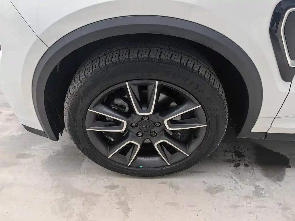 LYNK  01