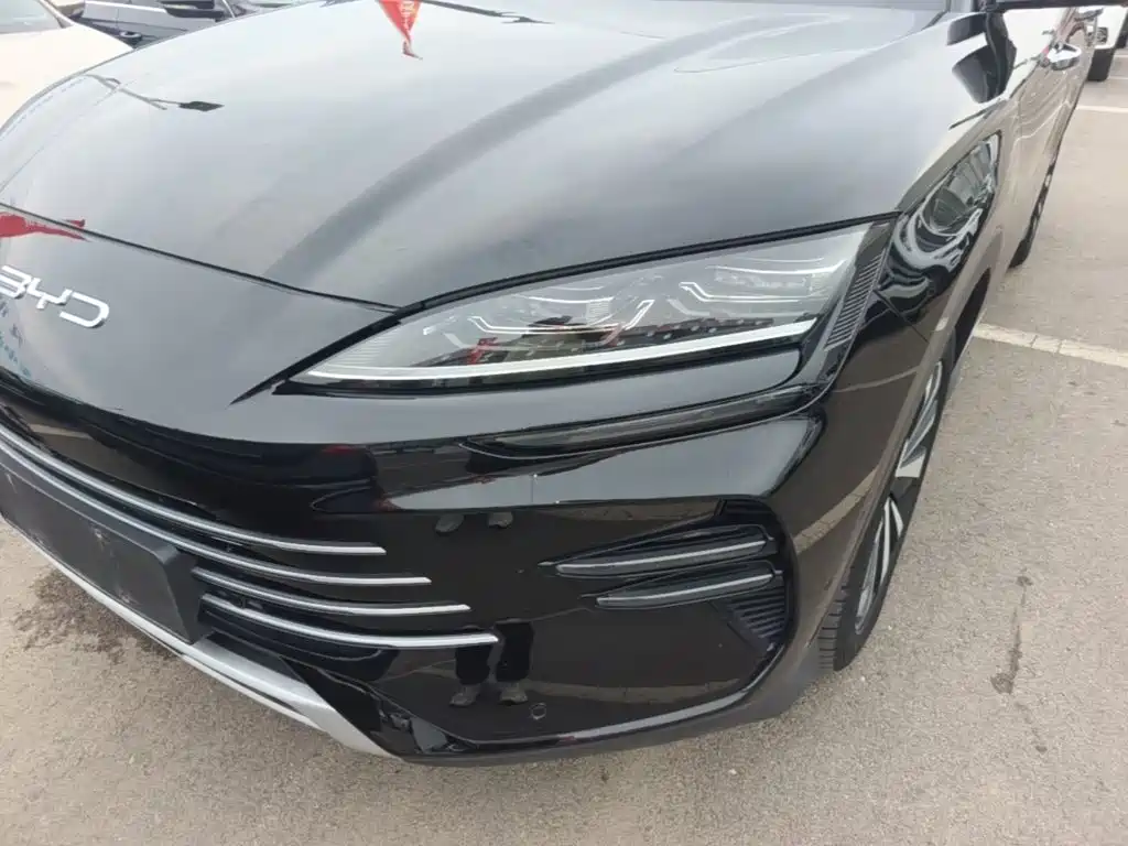 BYD PLUS New Energy — миниатюра 24
