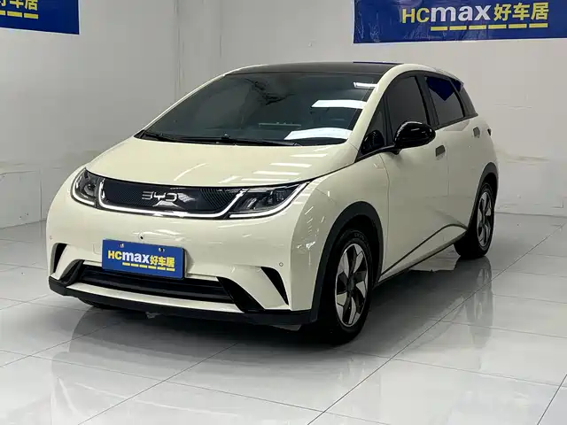 BYD DOLPHIN 2024