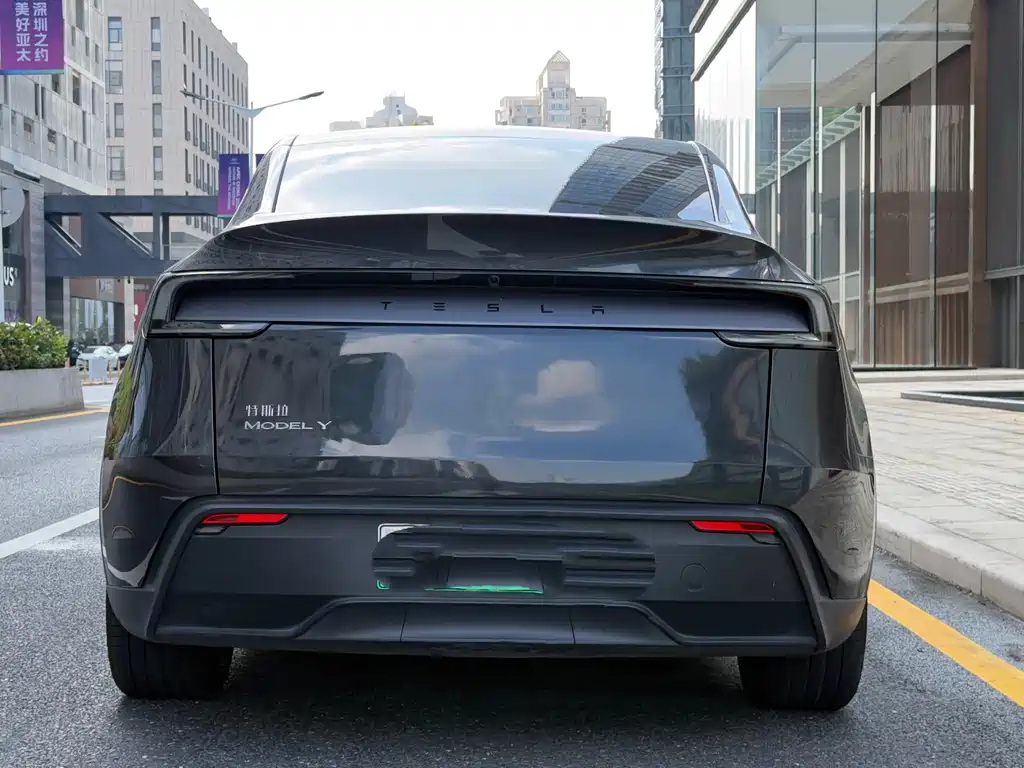 Tesla Model Y — миниатюра 11
