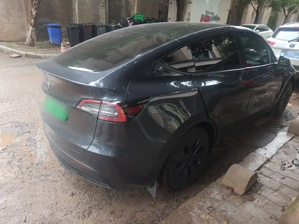 Tesla Model Y — миниатюра 7