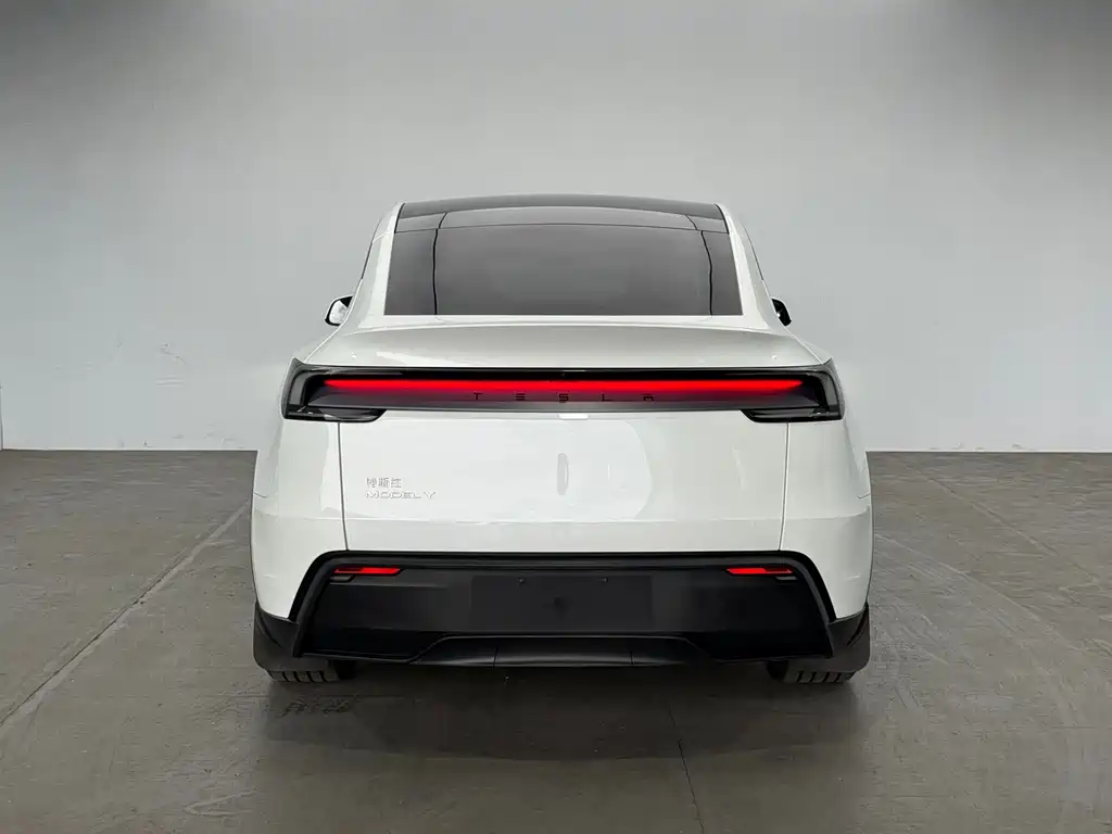 Tesla Model Y — миниатюра 6