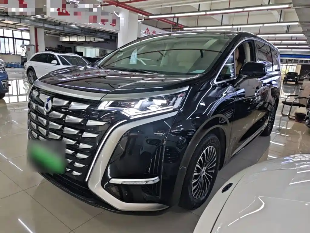 Denza Denza D9