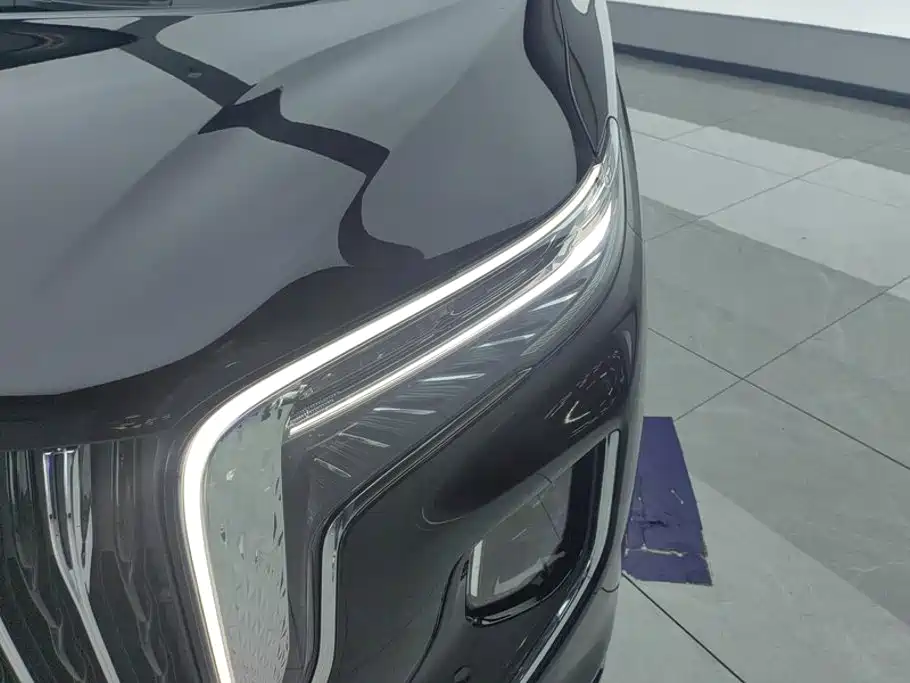 Hongqi HQ9 PHEV 2024 2.0T
