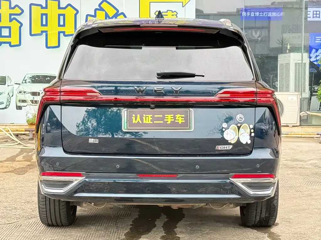Wey Wey Lanshan — миниатюра 16
