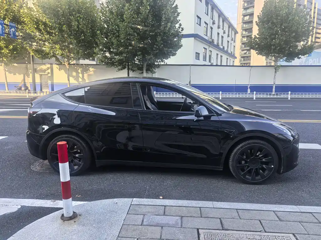 Tesla Model Y — миниатюра 14