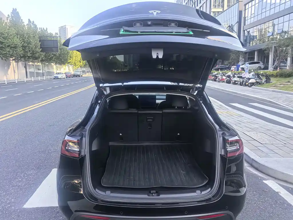 Tesla Model Y — миниатюра 9