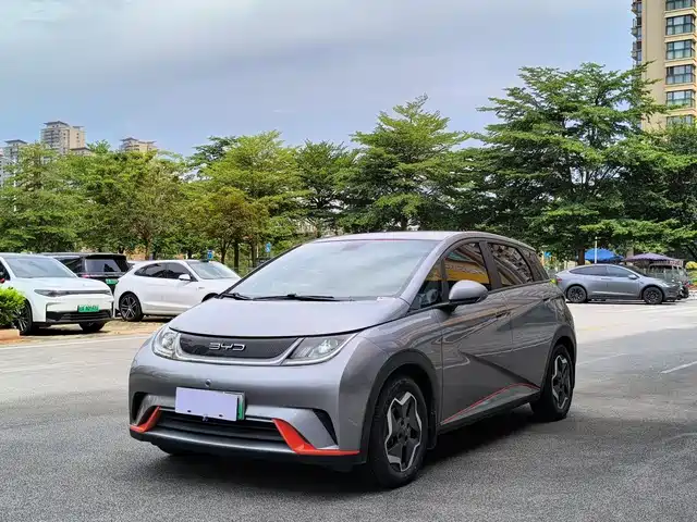 2022 BYD Dolphin