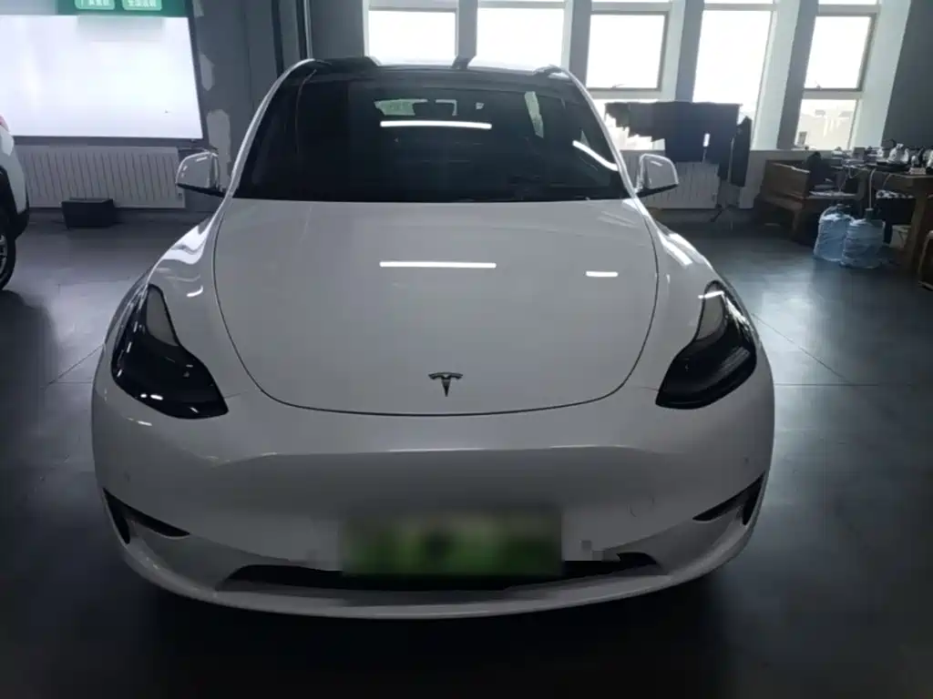 Tesla Model Y — миниатюра 3