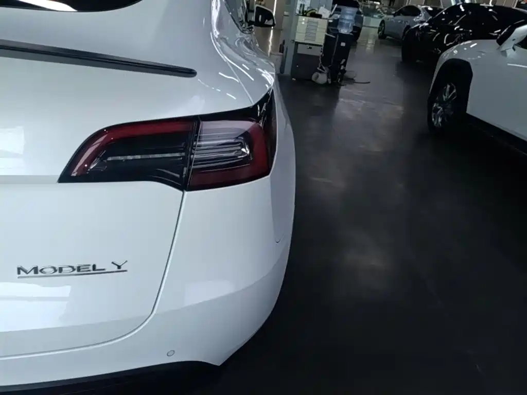 Tesla Model Y — миниатюра 8