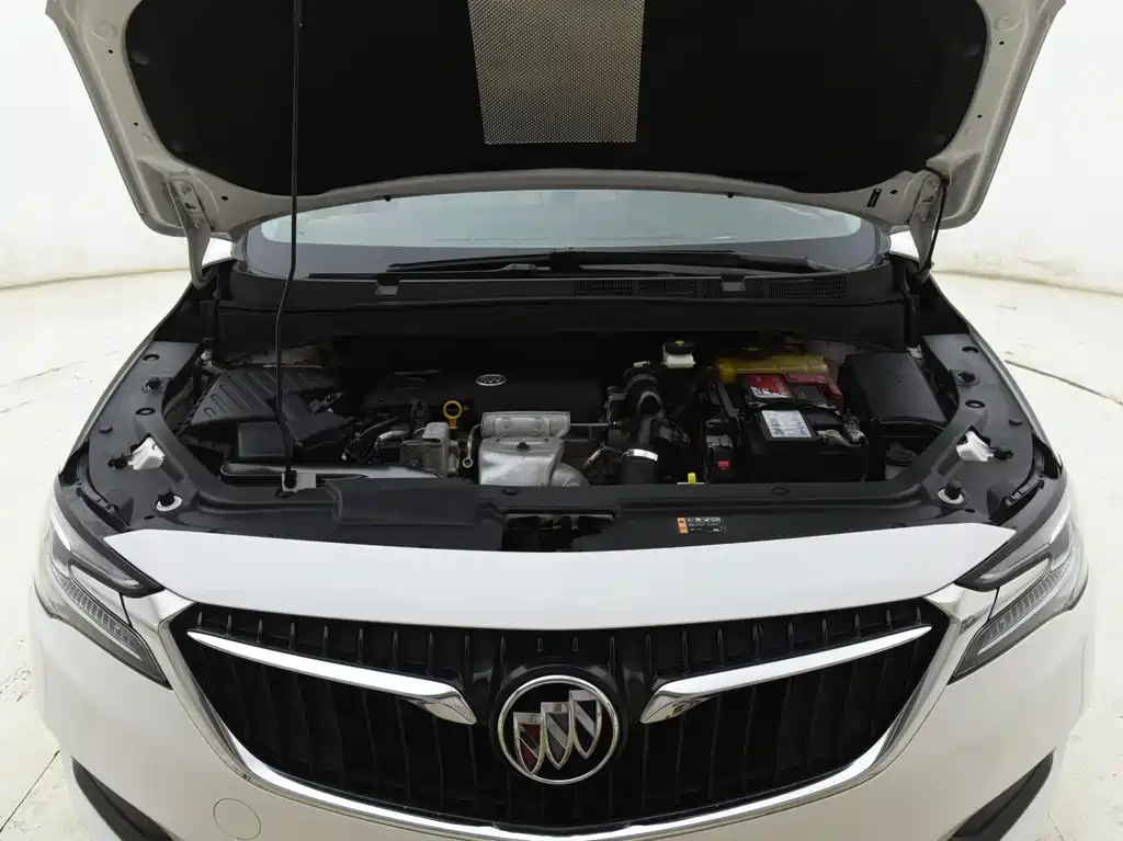 Buick GL6 — миниатюра 14