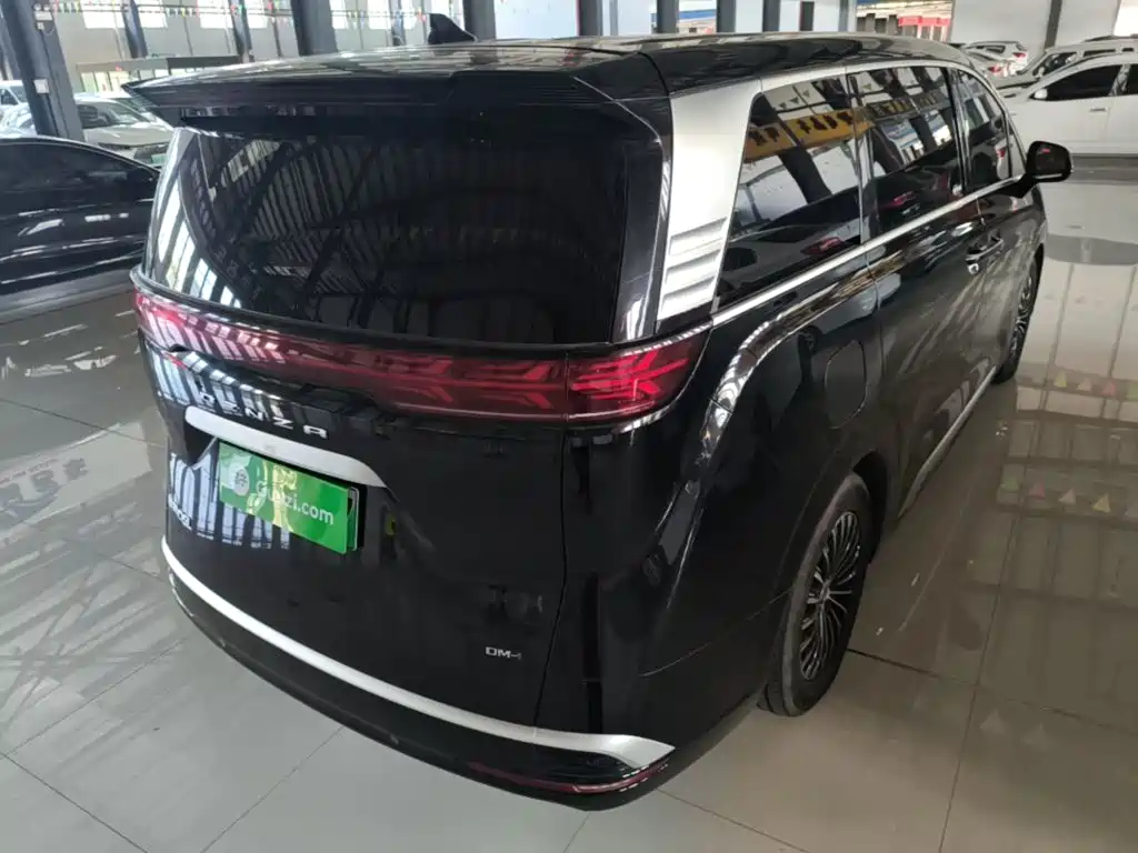 Denza Denza D9 — миниатюра 7