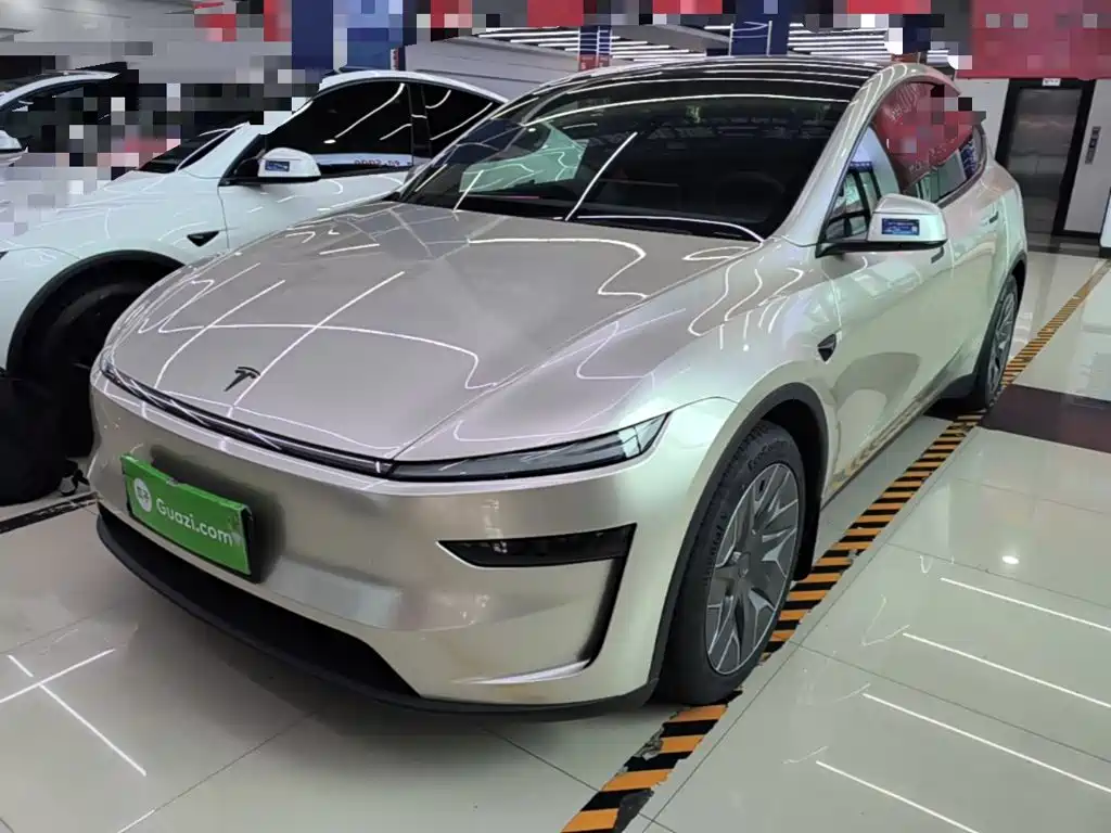 Tesla Model Y L — миниатюра 2
