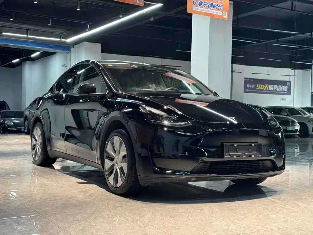 Tesla Model Y — миниатюра 3