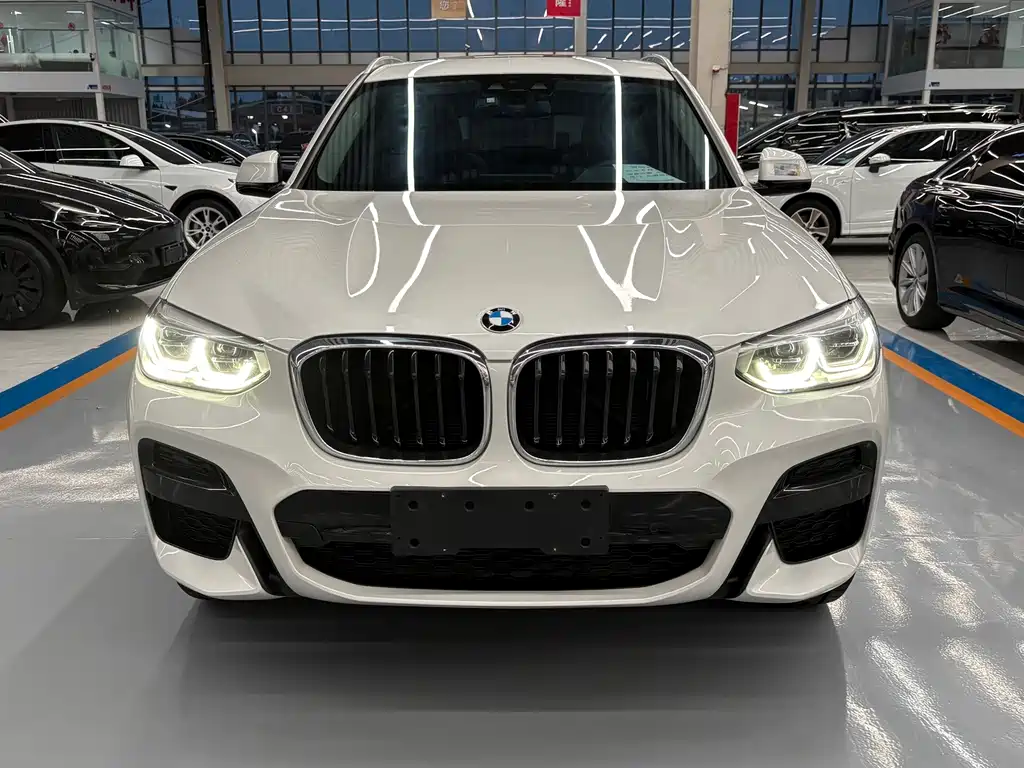 BMW X3 — миниатюра 2