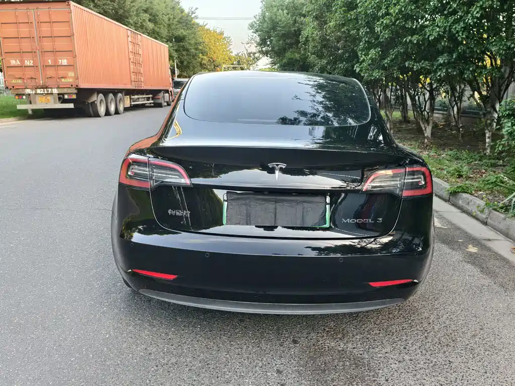 Tesla Model 3 — миниатюра 6