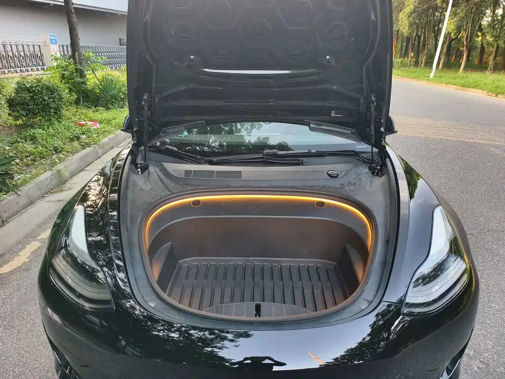 Tesla Model 3 — миниатюра 19