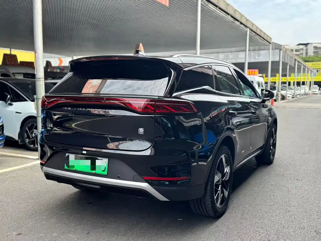 BYD Tang New Energy — миниатюра 13