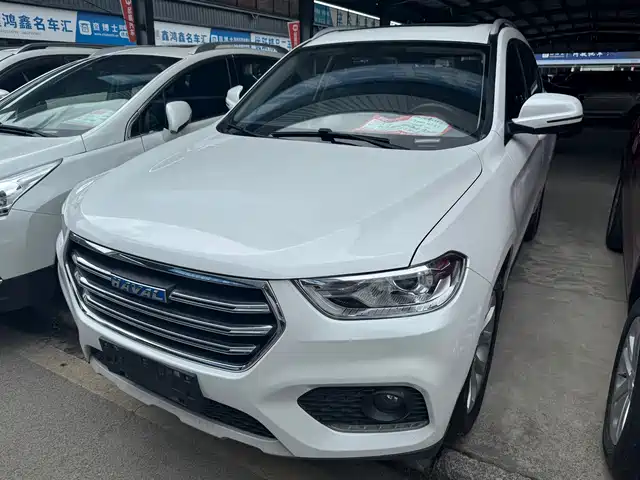 2018 Haval H2