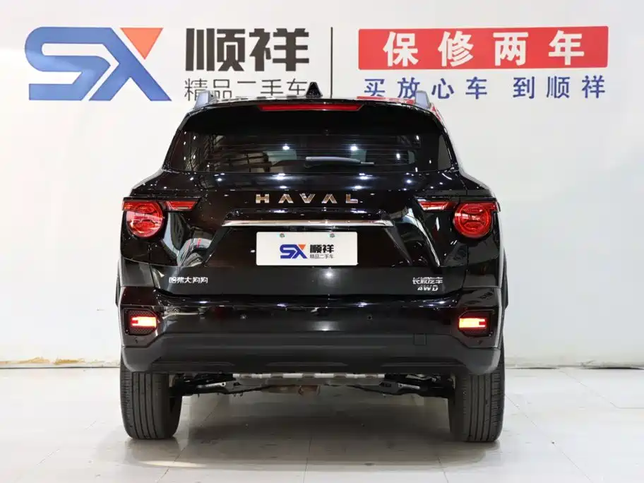 Haval Big Dog PLUS — миниатюра 5