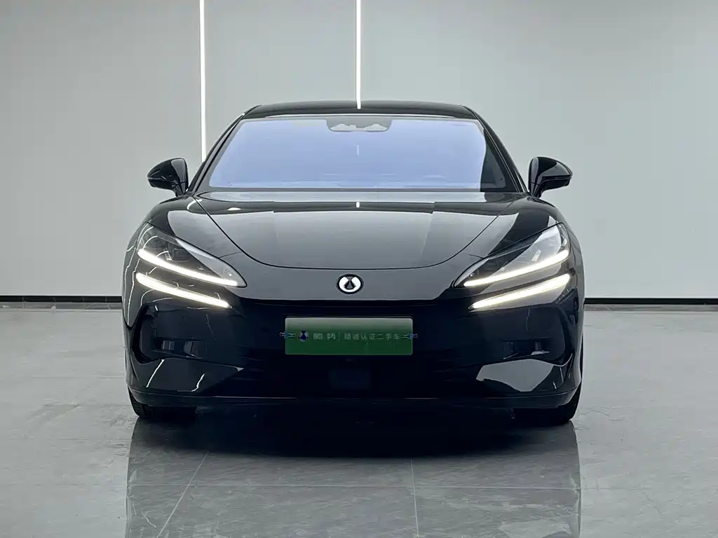 Denza Z9 2024 1100km Ultra
