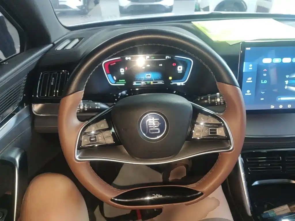 BYD Tang New Energy — миниатюра 11