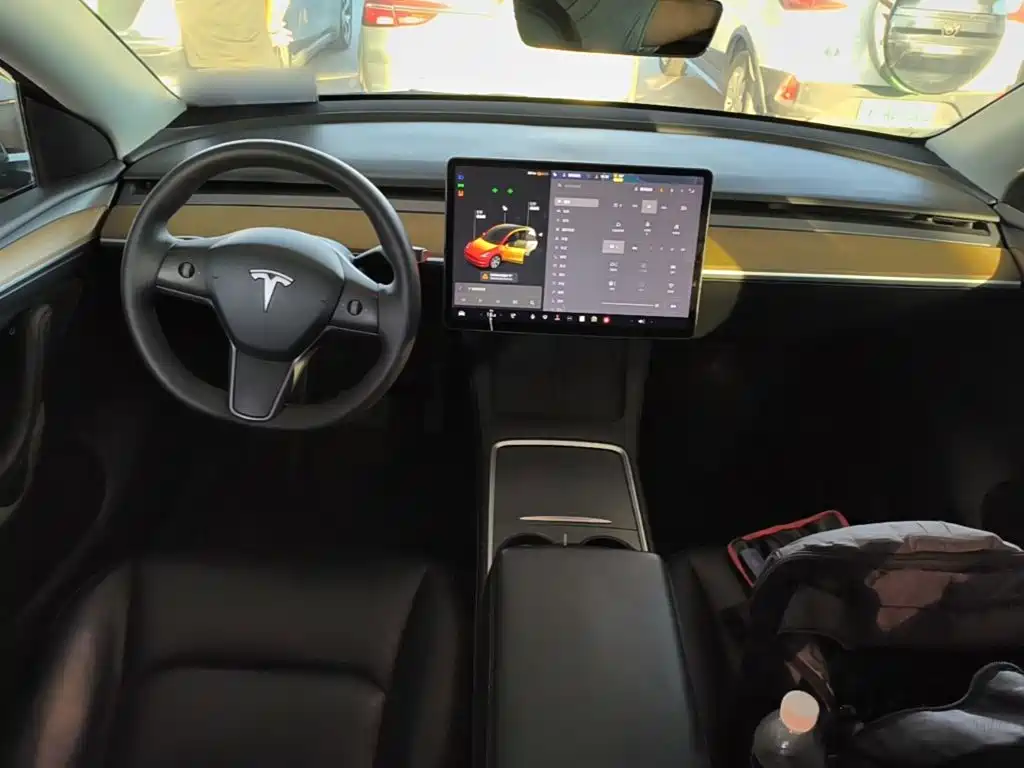 Tesla Model Y — миниатюра 10