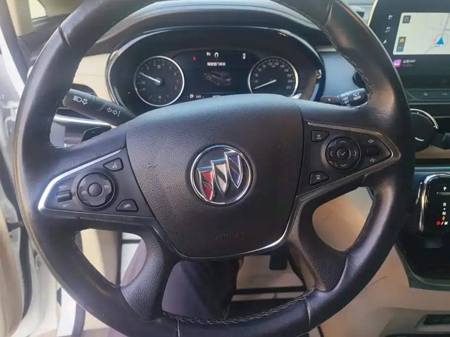 Buick GL8 — миниатюра 15