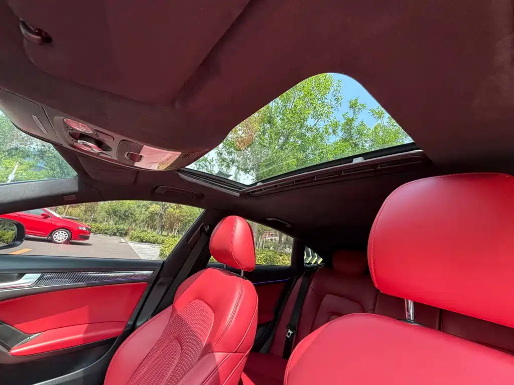 Audi A5 (Import) — миниатюра 16