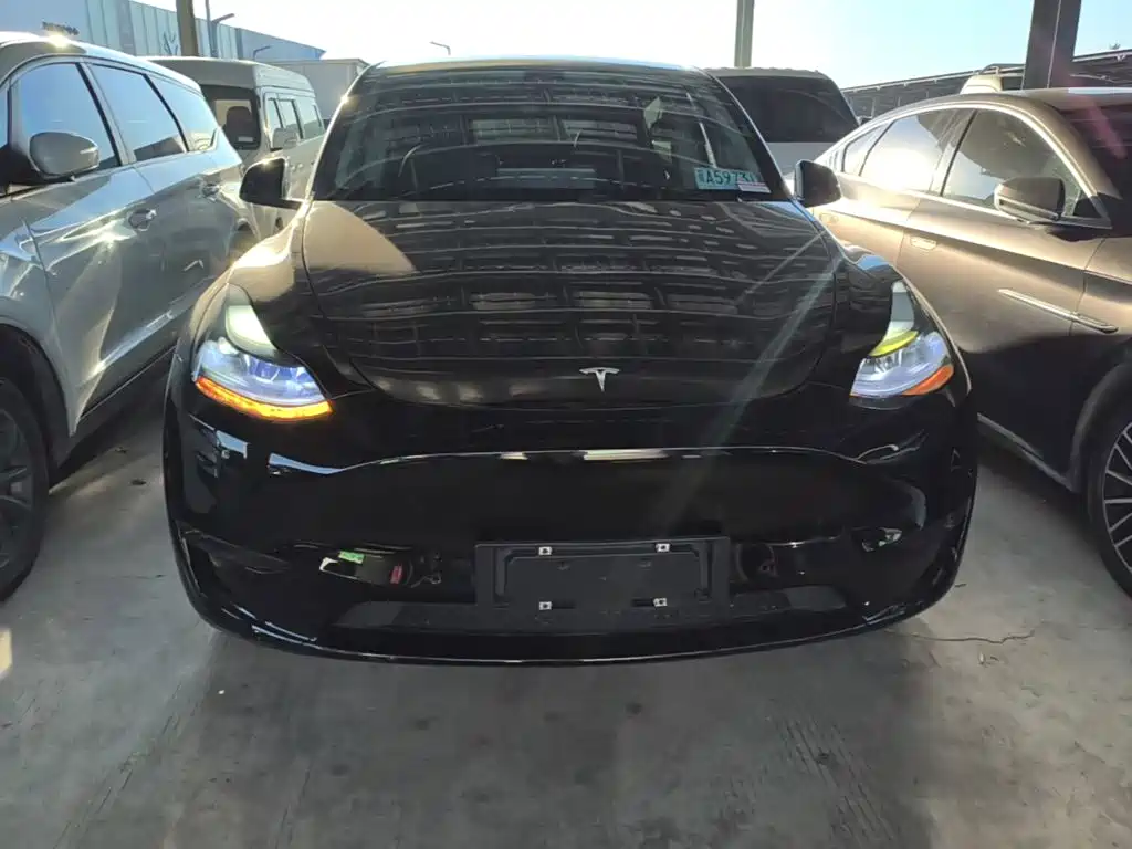 Tesla Model Y — миниатюра 3