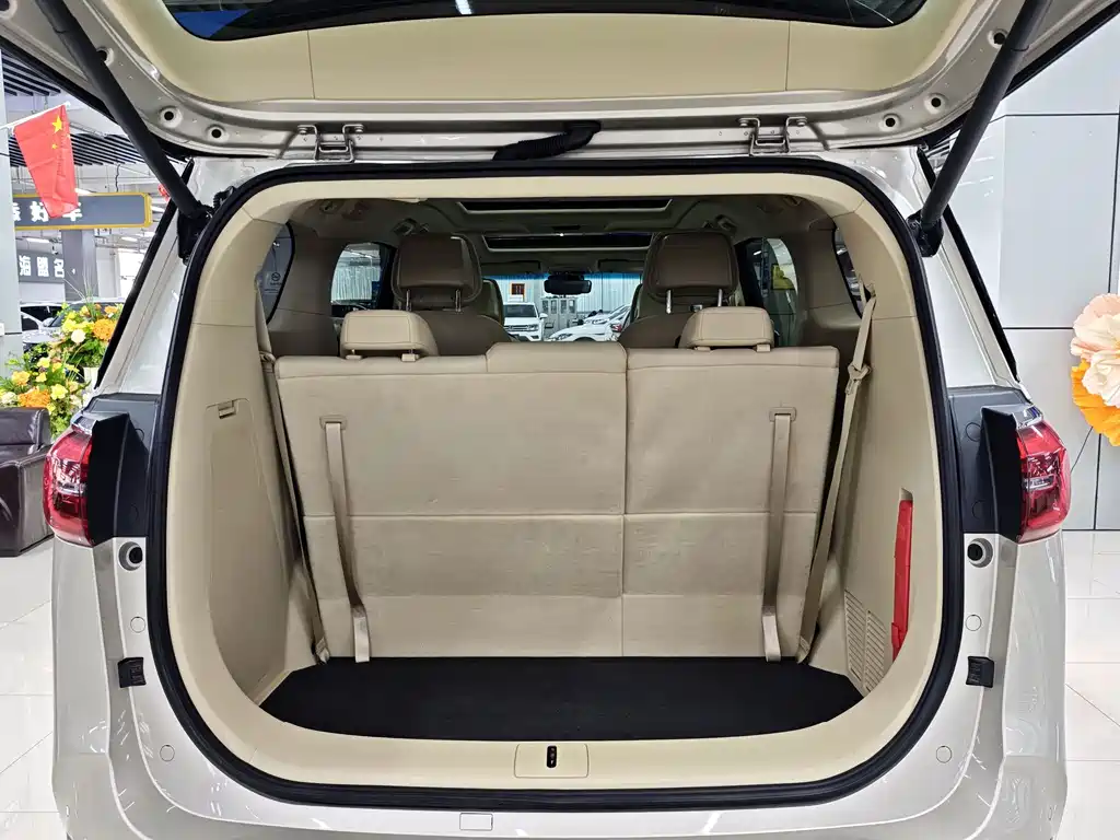 Buick GL8 — миниатюра 16