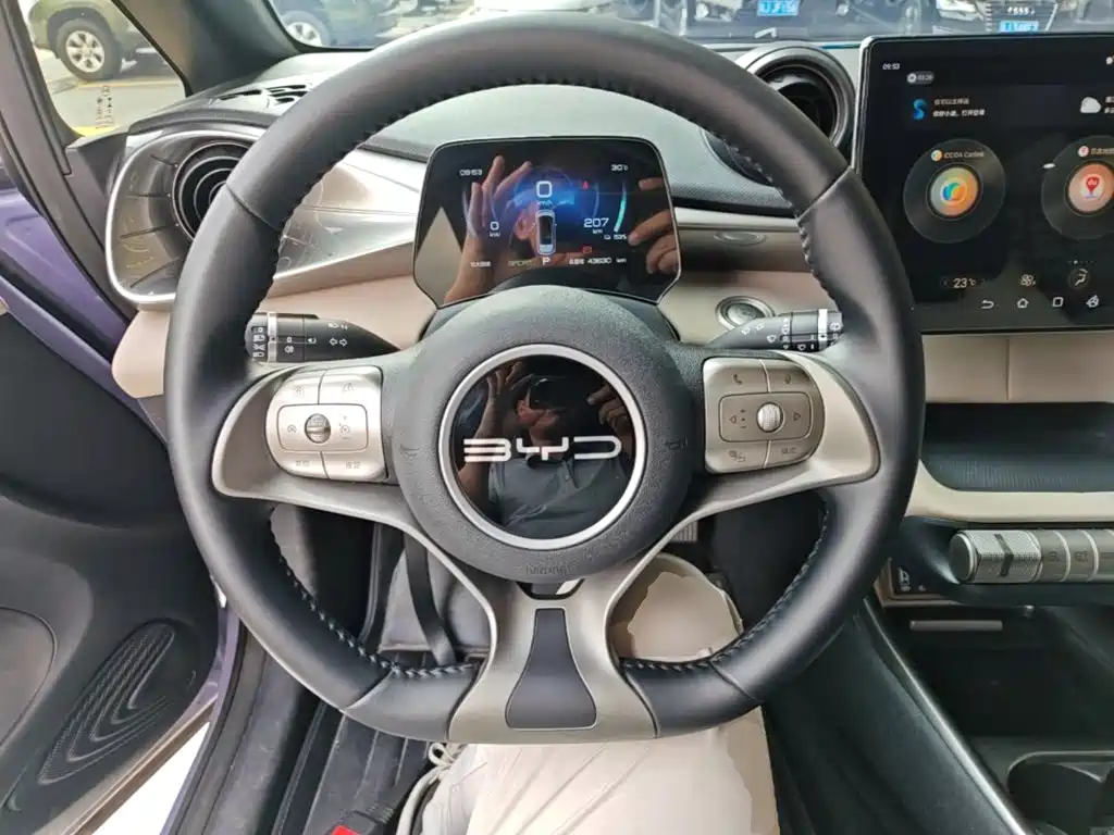 BYD Dolphin — миниатюра 11