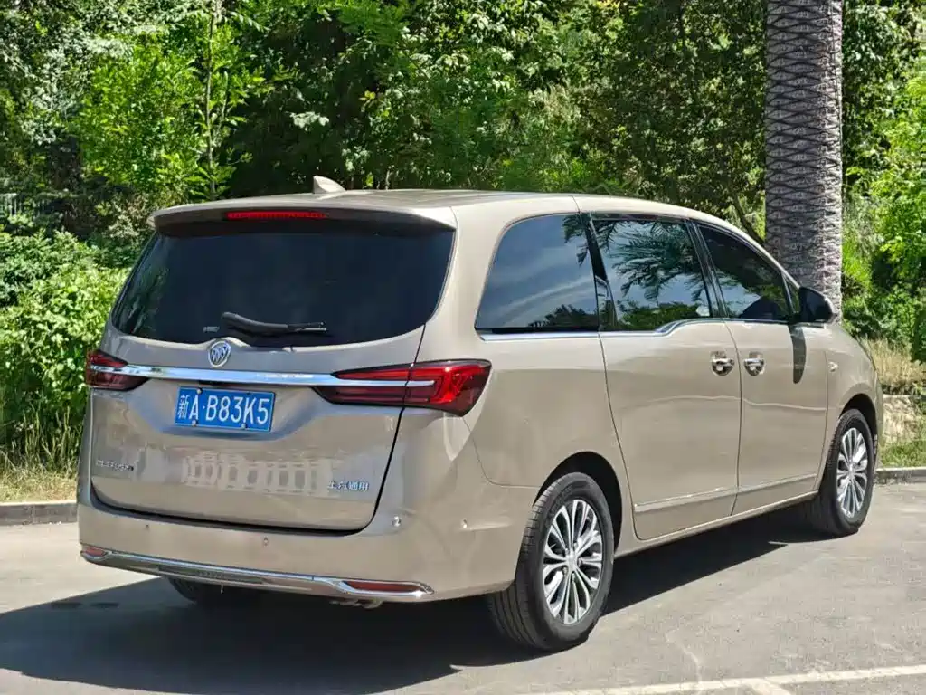 Buick GL8 — миниатюра 9