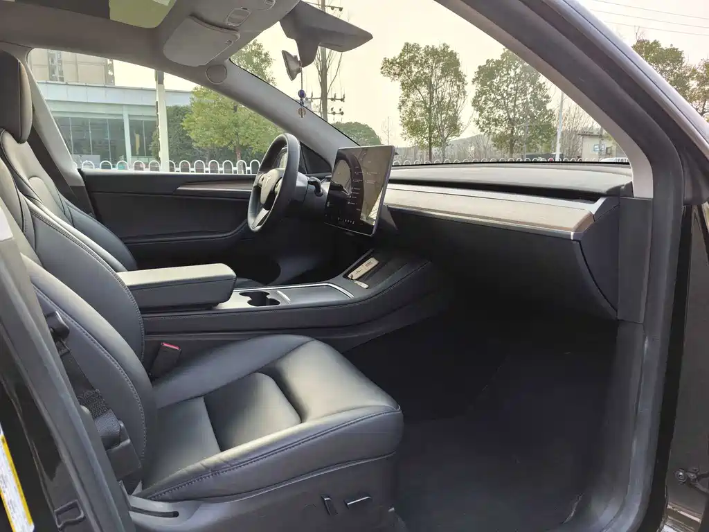 Tesla Model Y — миниатюра 11