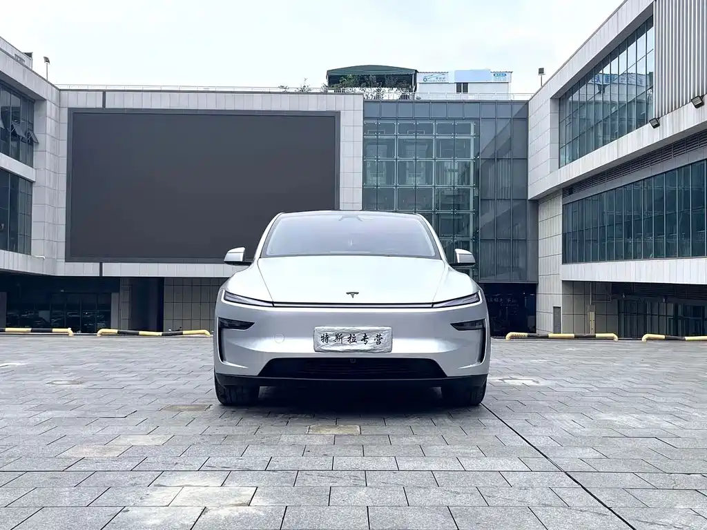 Tesla Model Y — миниатюра 3