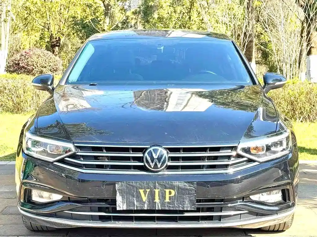 Volkswagen Magotan — миниатюра 2