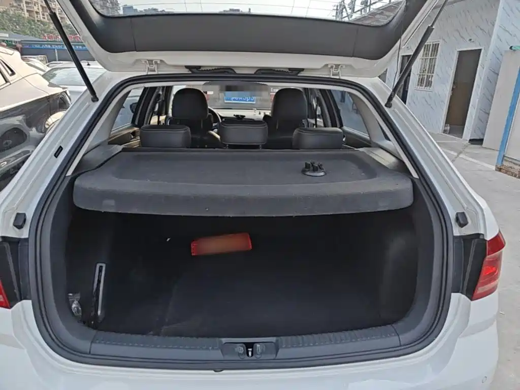 Volkswagen Gran Lavida — миниатюра 19