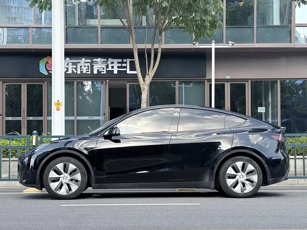 Tesla Model Y — миниатюра 3