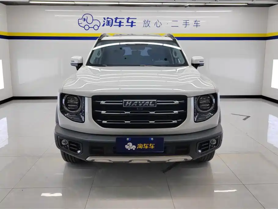 HAVAL BIG DOG