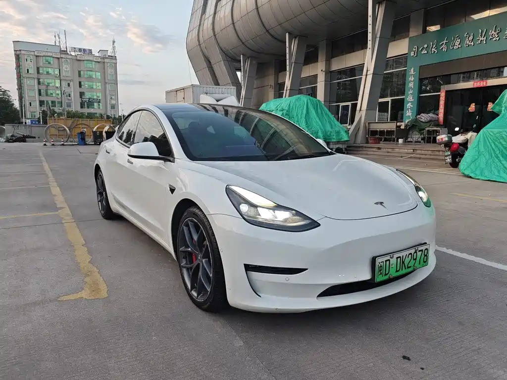 Tesla Model 3 2021 Performance 3D6