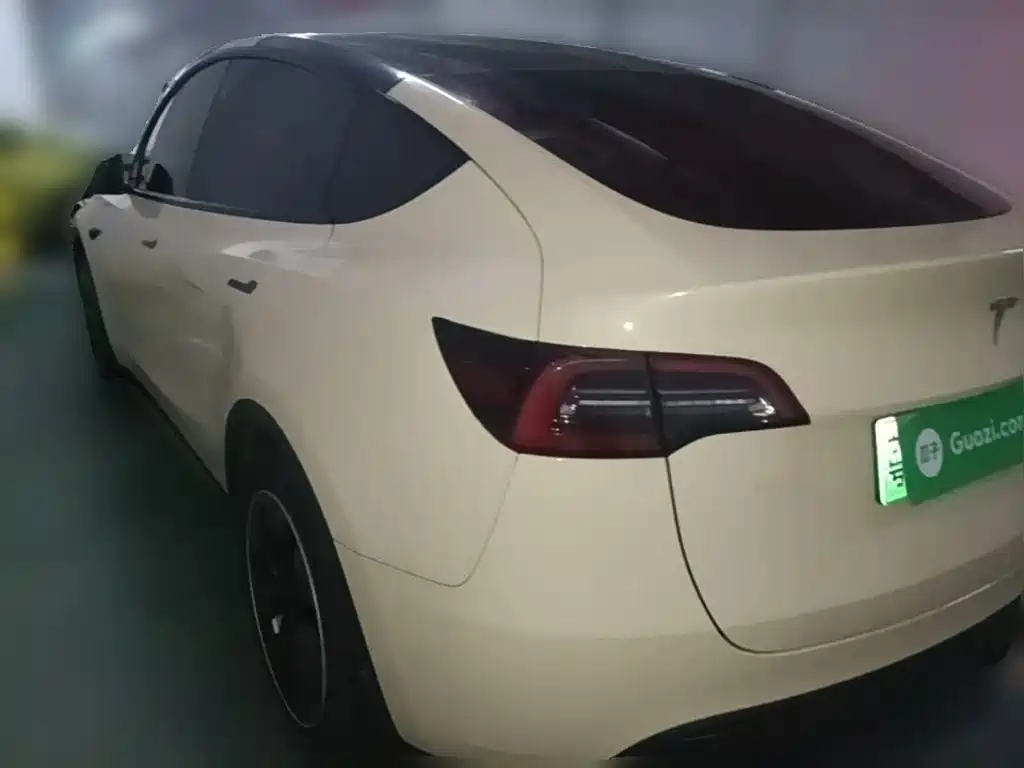 Tesla Model Y — миниатюра 25