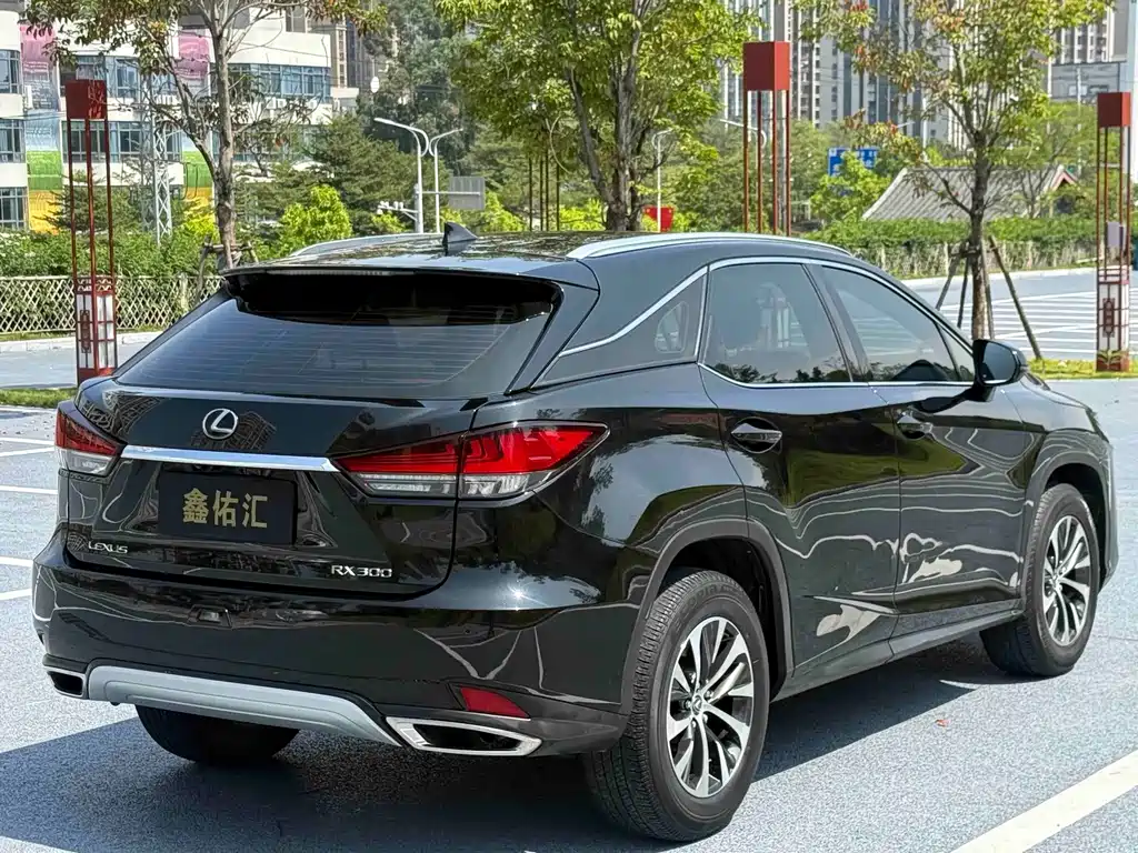 Lexus RX — миниатюра 6