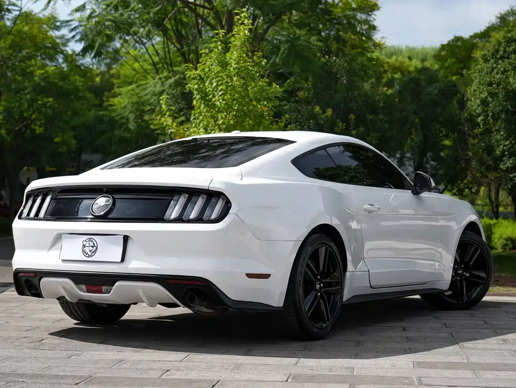 Ford Mustang — миниатюра 14