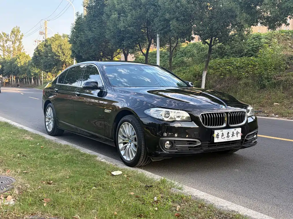 BMW 5 Series — миниатюра 3