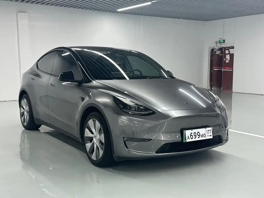 Tesla Model Y — миниатюра 3