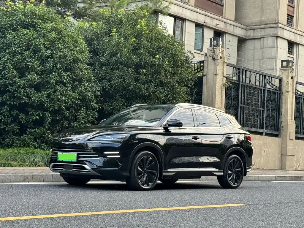 BYD PLUS New Energy — миниатюра 2
